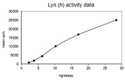 Eurofins DiscoverX Lyn Human Protein, Active 10 &mu;g | Buy Online | Eurofins DiscoverX | Fisher Scientific